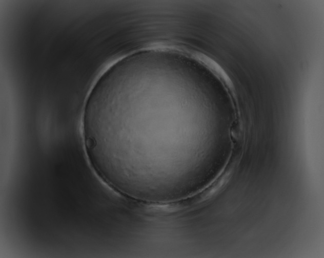 X0000100410855200806061340