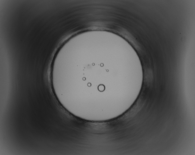 X0000100410856200806061340