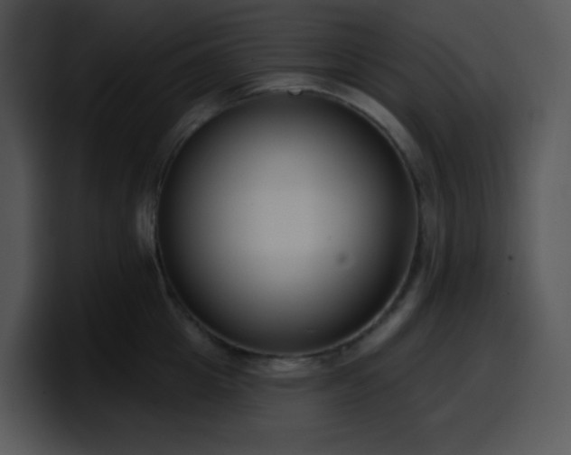 X0000100410857200806061340