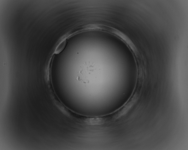 X0000100410858200806061340