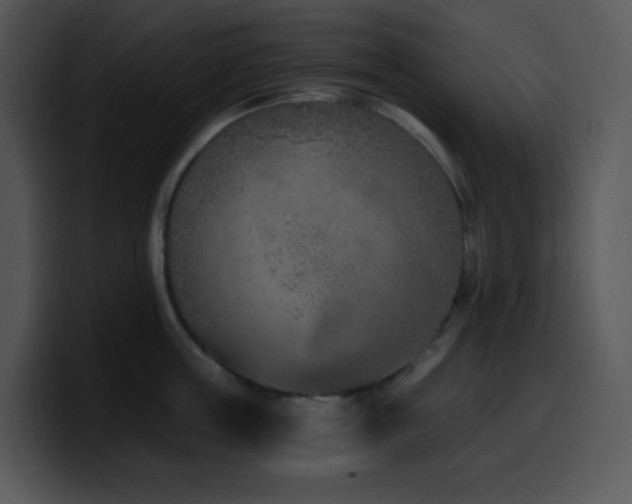 X0000100410859200806061340