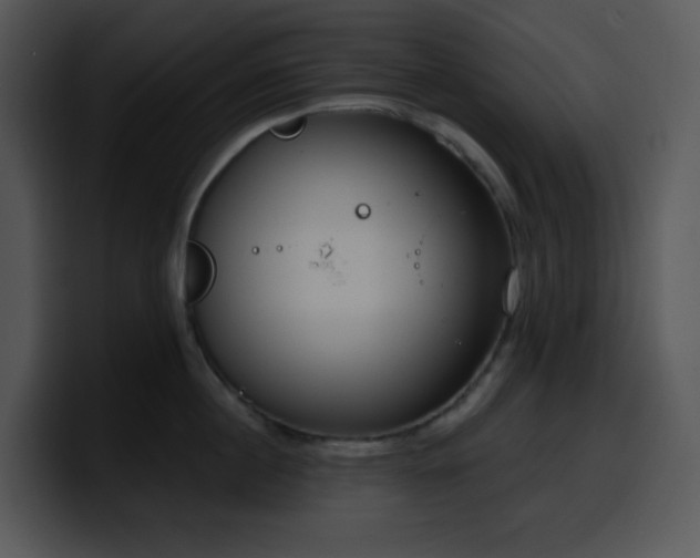 X0000100410860200806061340