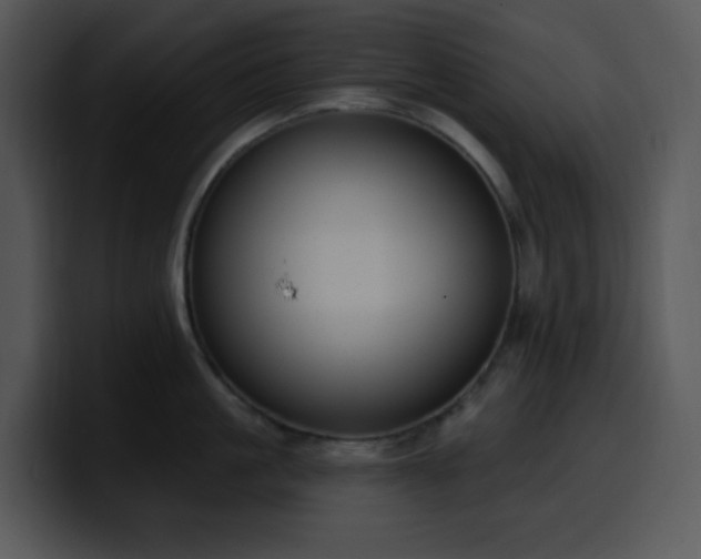 X0000100410861200806061340