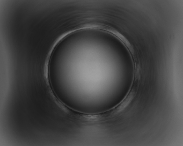 X0000100410862200806061340