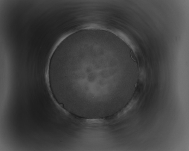 X0000100410863200806061340