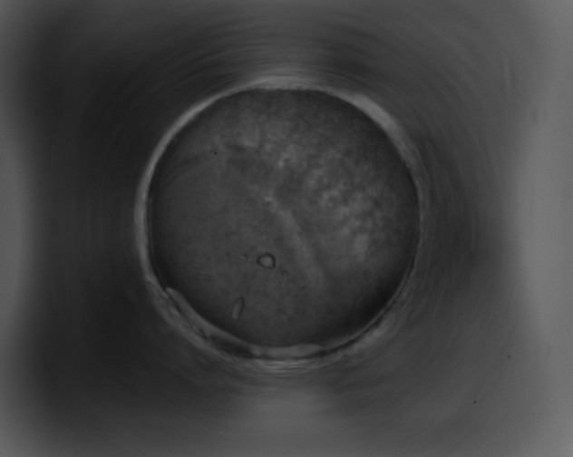 X0000100410864200806061340