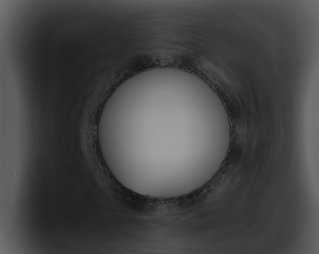 X0000100410865200806061339