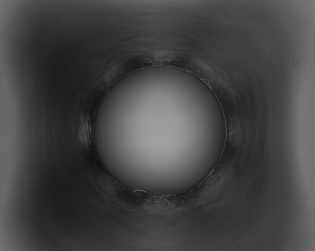 X0000100410866200806061339