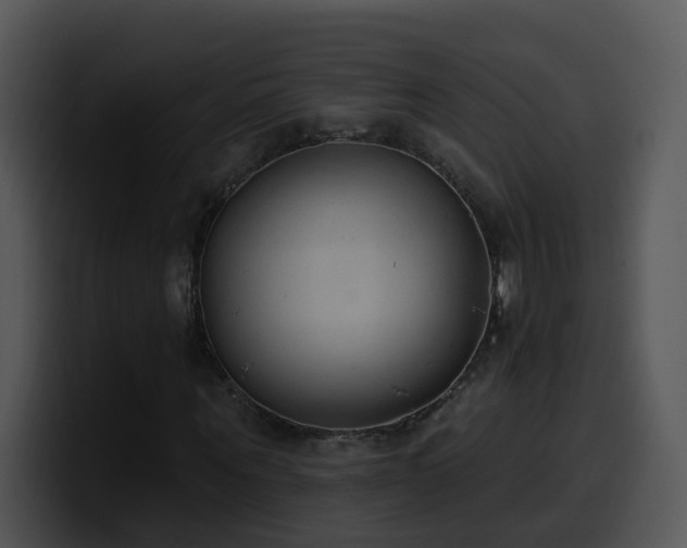 X0000100410867200806061339