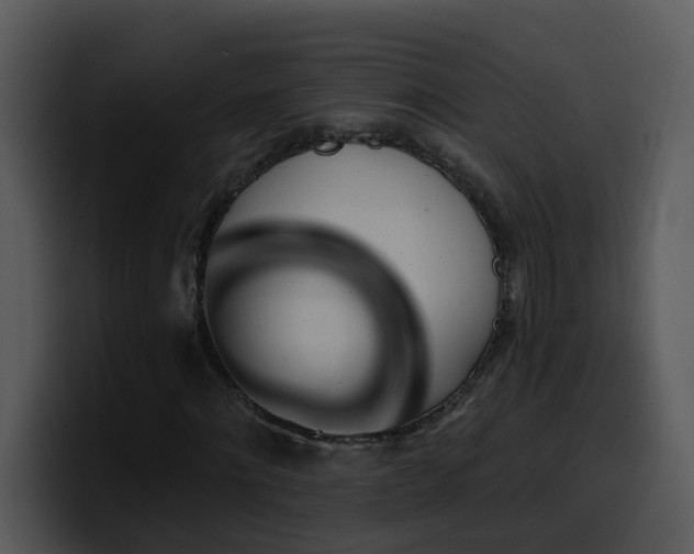 X0000100410868200806061339