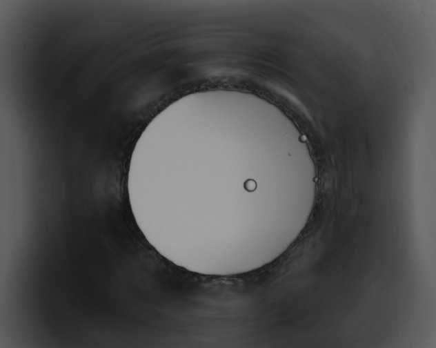 X0000100410869200806061339