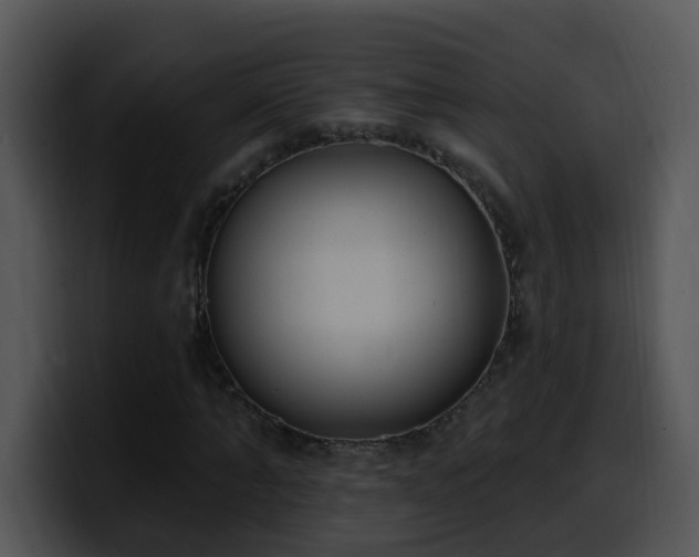 X0000100410870200806061339