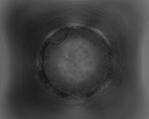 X0000100410871200806061339