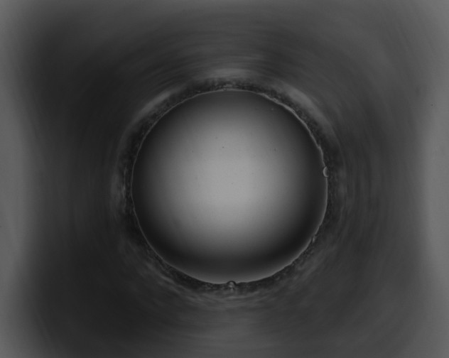 X0000100410872200806061339