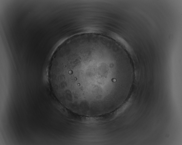 X0000100410875200806061339