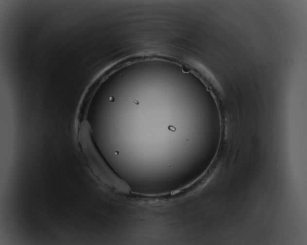 X0000100410876200806061339