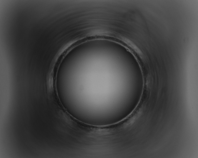 X0000100410877200806061339