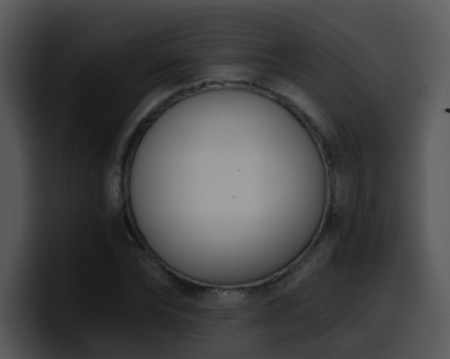 X0000100410878200806061339