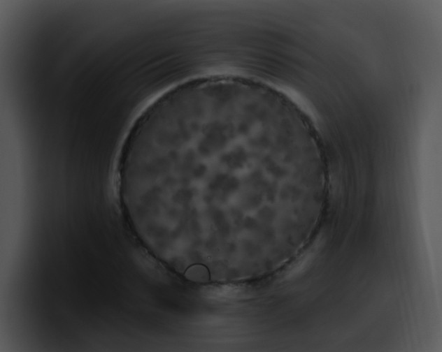 X0000100410879200806061339