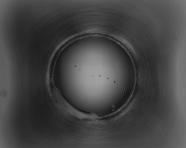 X0000100410880200806061339