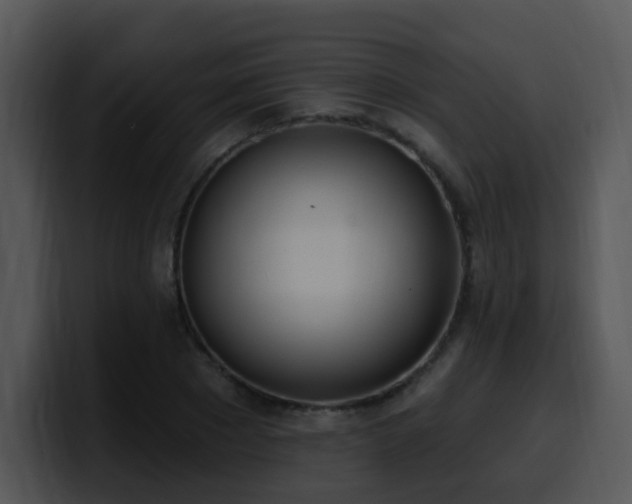 X0000100410881200806061339