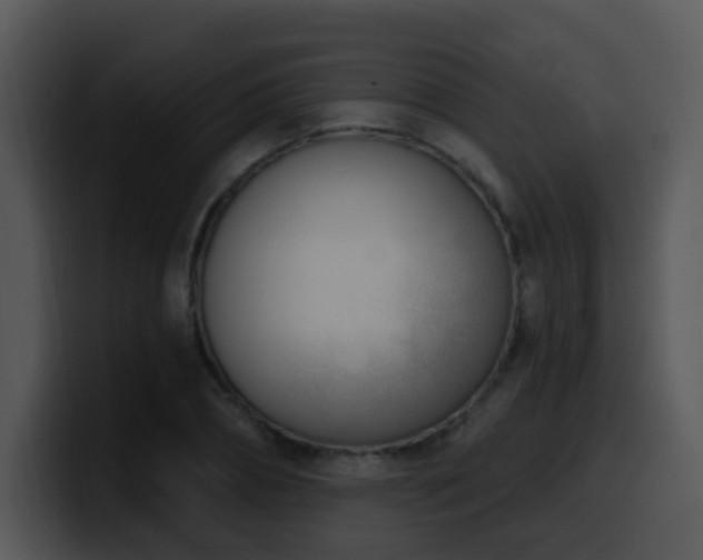 X0000100410882200806061339