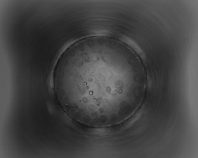 X0000100410883200806061339