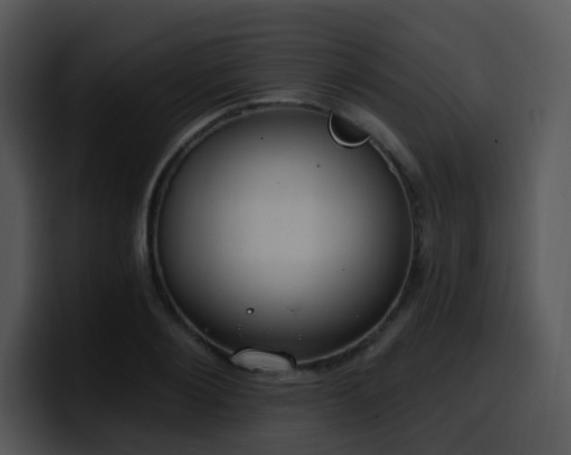 X0000100410884200806061339