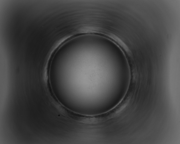 X0000100410885200806061339