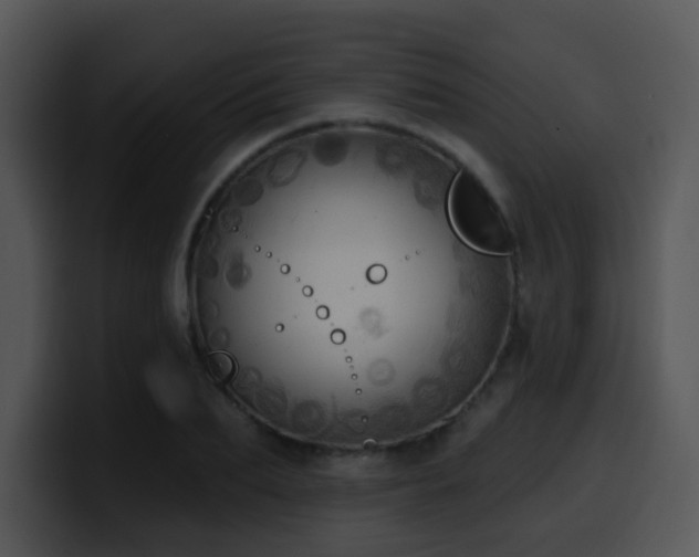 X0000100410887200806061339