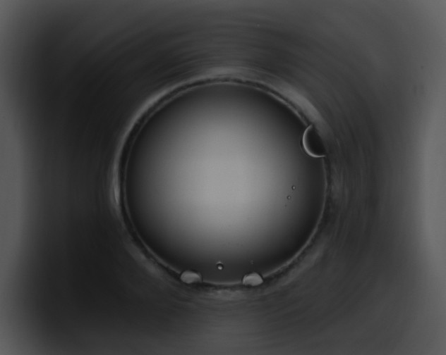 X0000100410888200806061339