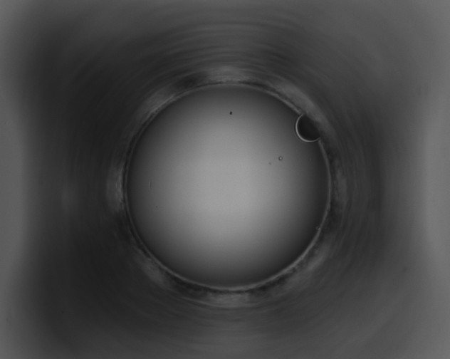 X0000100410889200806061339