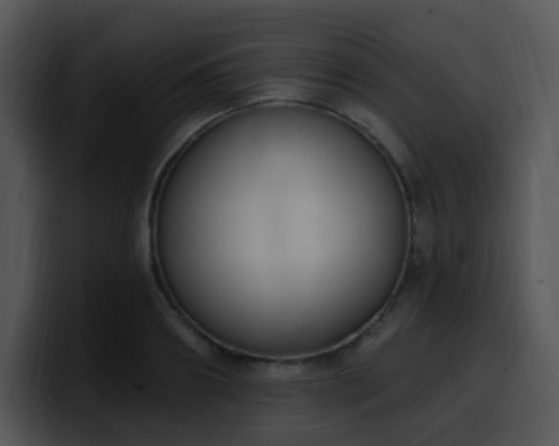 X0000100410890200806061339