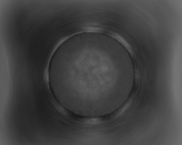 X0000100410891200806061339