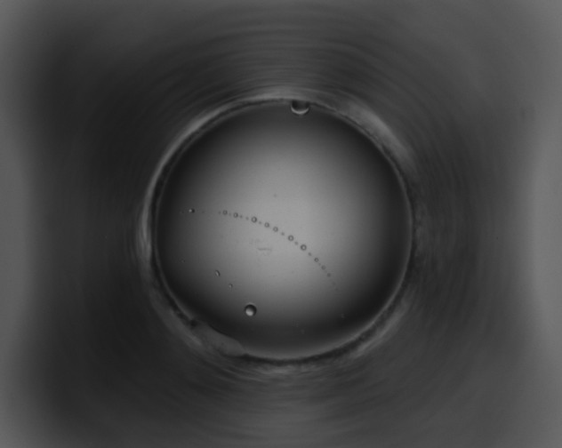 X0000100410892200806061339