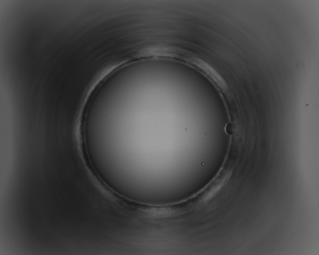 X0000100410893200806061339