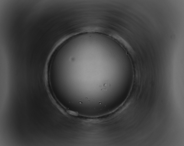 X0000100410894200806061339