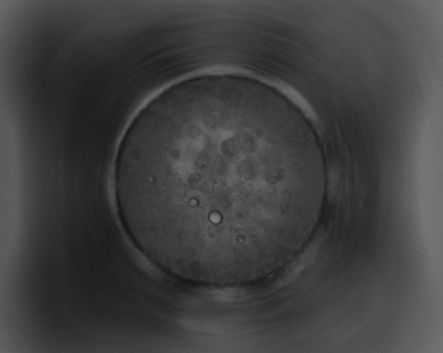 X0000100410895200806061339