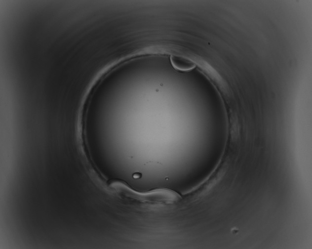 X0000100410896200806061339