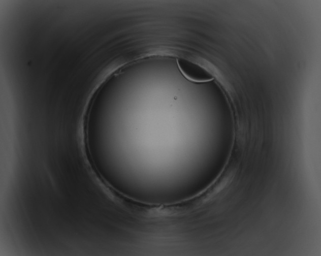 X0000100410898200806061339