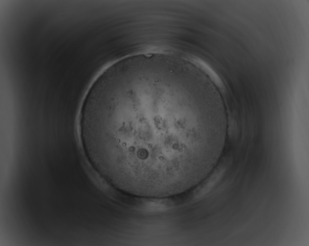 X0000100410899200806061339