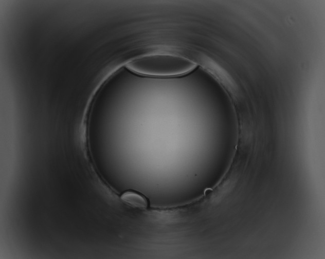 X0000100410900200806061339