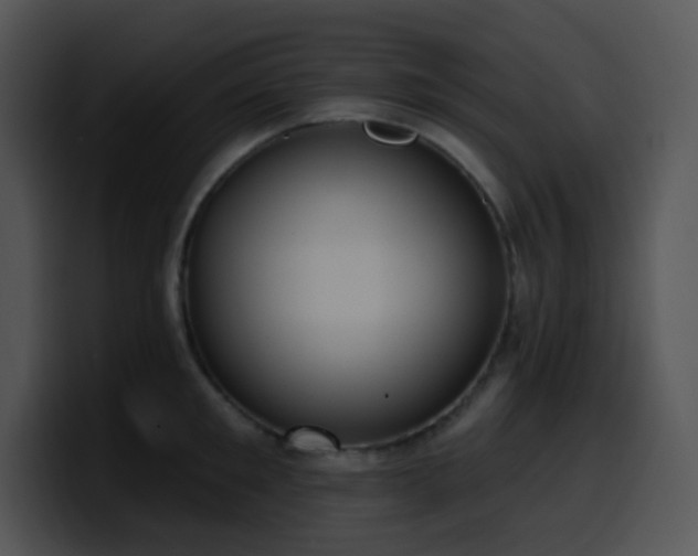 X0000100410901200806061339