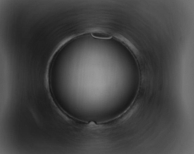 X0000100410902200806061339