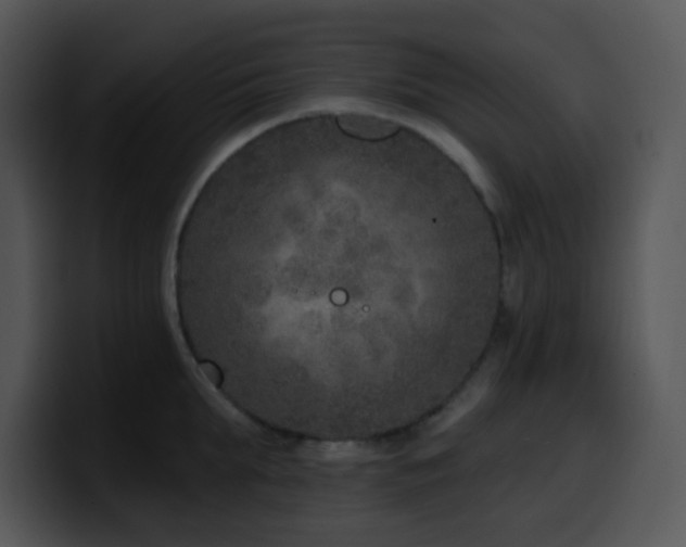 X0000100410903200806061339