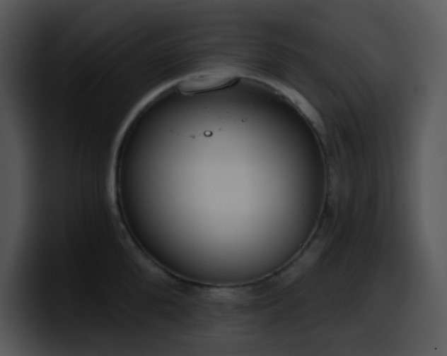 X0000100410904200806061339