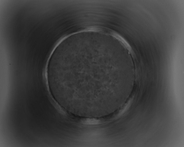 X0000100410907200806061339