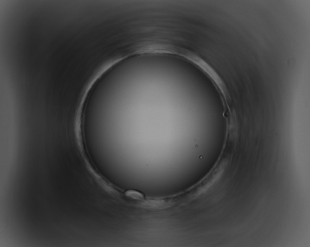 X0000100410909200806061339