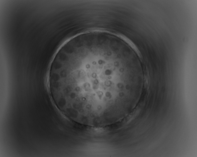 X0000100410911200806061339