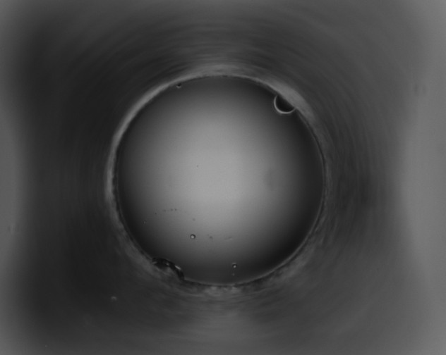 X0000100410912200806061339